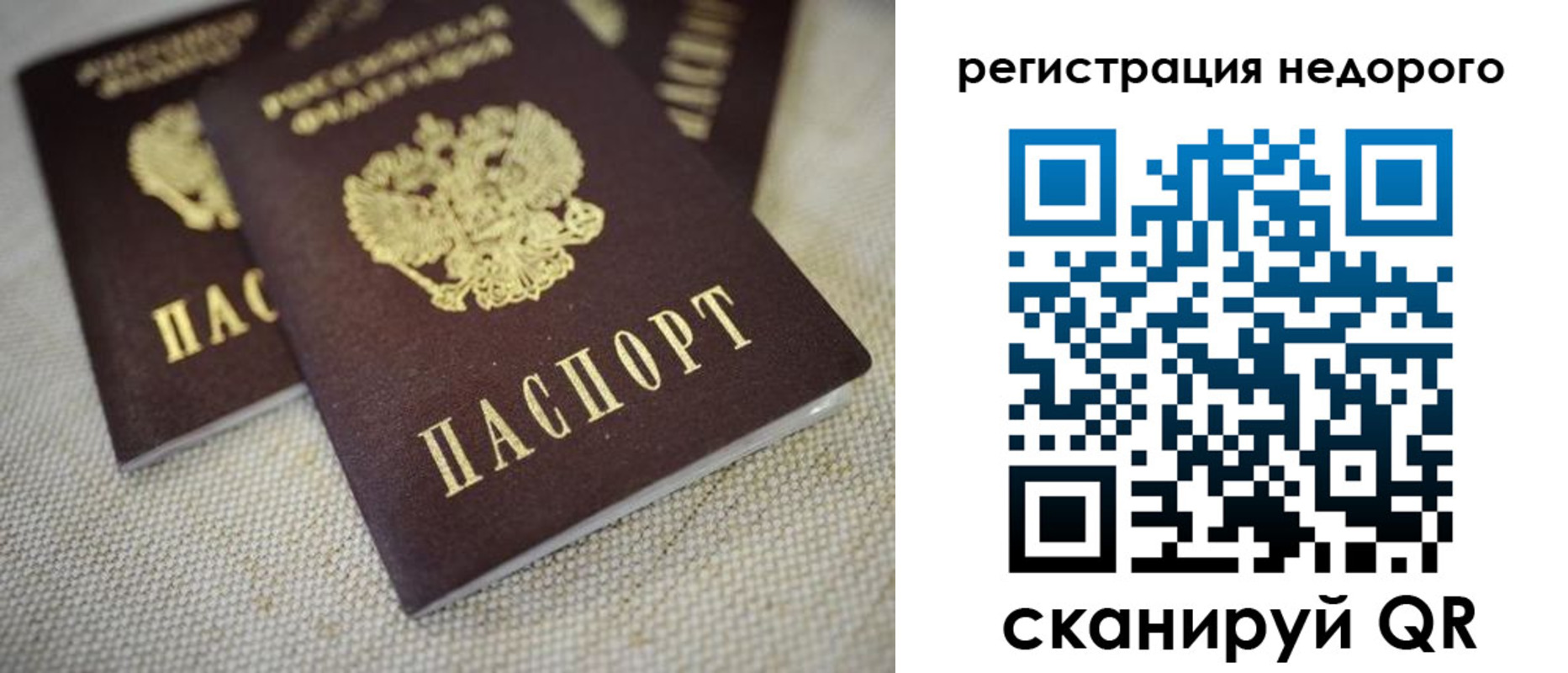 временная регистрация гарантия в Дмитрове